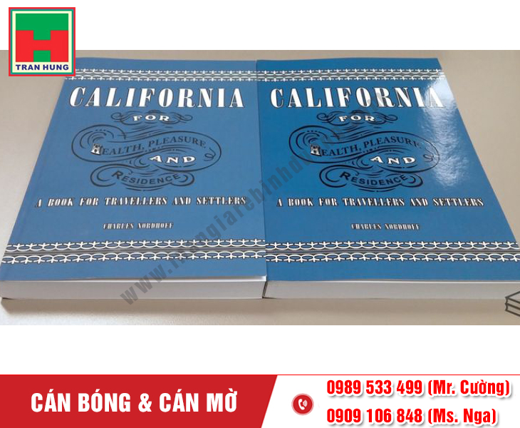 so-sanh-can-bong-can-mo