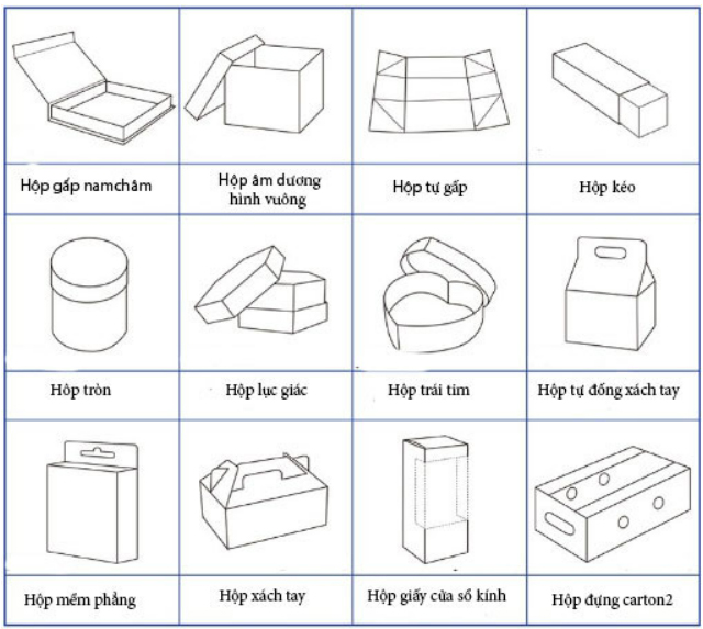 cac-loai-hop-giay
